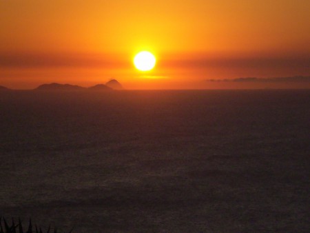 CARLOS VITOR DIAS DE ANDRADE